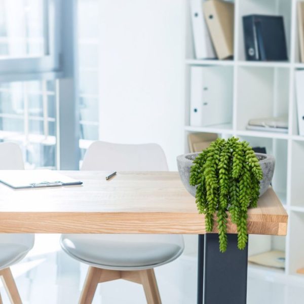 Donkey-tail-kunstboeket-30-cm-5 Donkey tail kunstboeket 30 cm 5