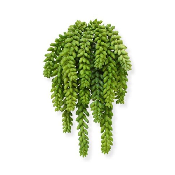 Donkey-tail-kunstboeket-30-cm-7 Donkey tail kunstboeket 30 cm 7