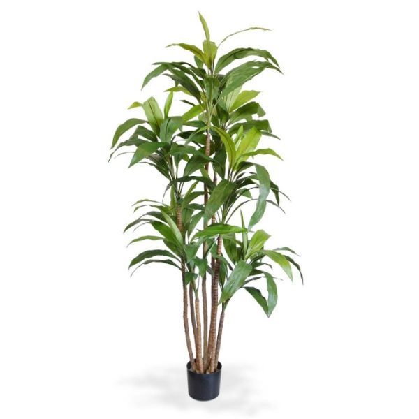 Draceana-Fragrans-XL-kunstboom-170-cm-10 Draceana Fragrans XL kunstboom 170 cm 10