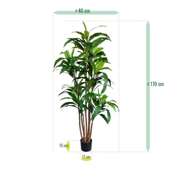Draceana-Fragrans-XL-kunstboom-170-cm-7 hoge hoekjes. Ook leuk is om meerdere van dezelfde stuks in verschillende hoogtes met elkaar te combineren....