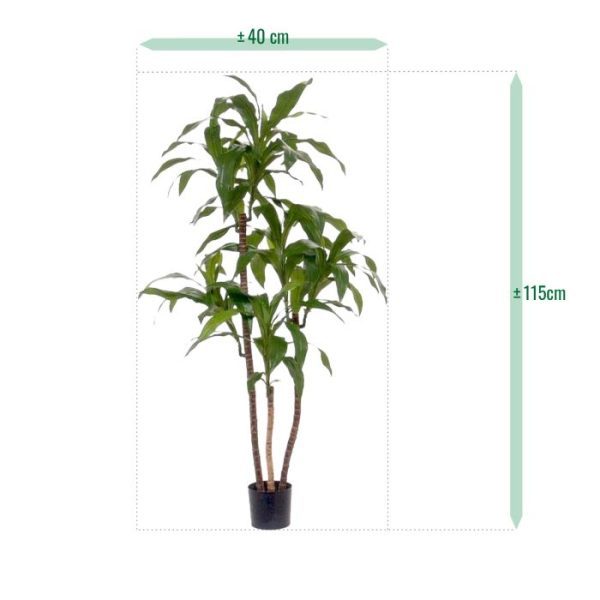 Draceana-Fragrans-kunstplant-125-cm-3 Draceana Fragrans kunstplant 125 cm 3