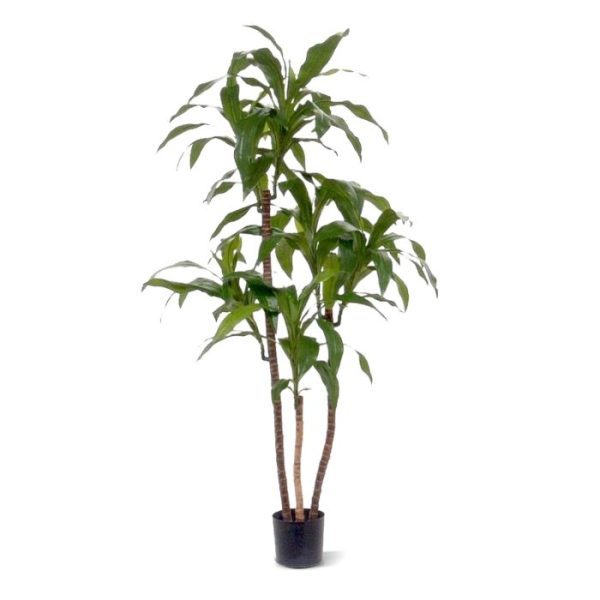 Draceana-Fragrans-kunstplant-125-cm-6 Draceana Fragrans kunstplant 125 cm 6