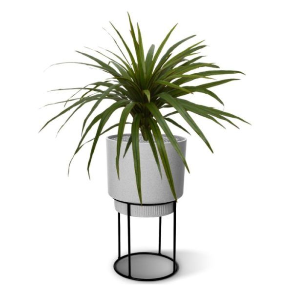 Zie hier het grote rood