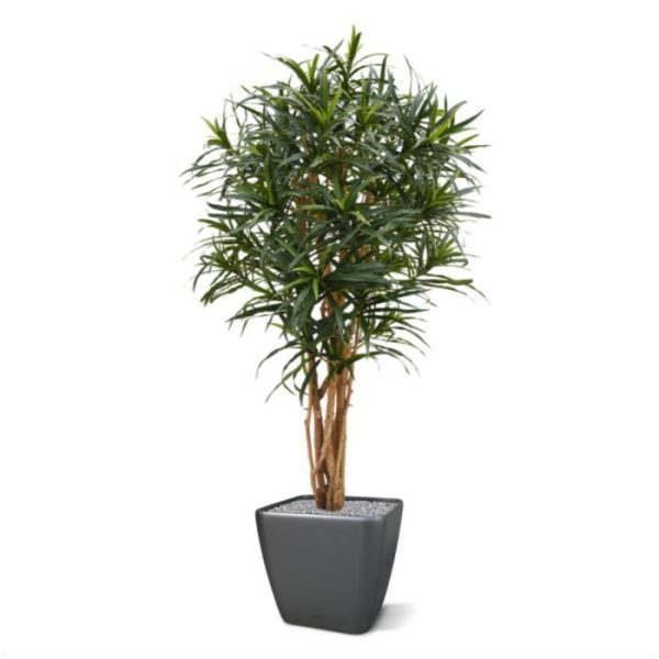 Draceana-Reflexa-Anita-145-cm-kunstboom-10 Draceana Reflexa Anita 145 cm kunstboom 10