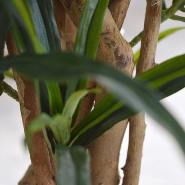 Draceana-Reflexa-Anita-145-cm-kunstboom-5 Draceana Reflexa Anita 145 cm kunstboom 5