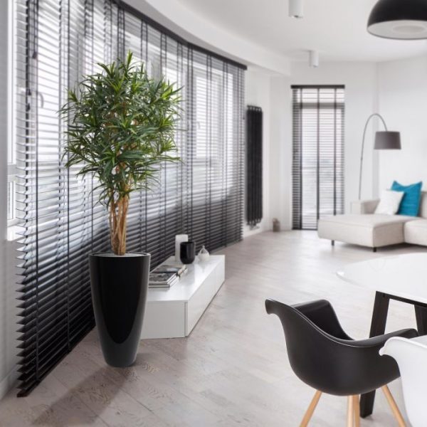 Draceana-Reflexa-Anita-145-cm-kunstboom-6 Draceana Reflexa Anita 145 cm kunstboom 6