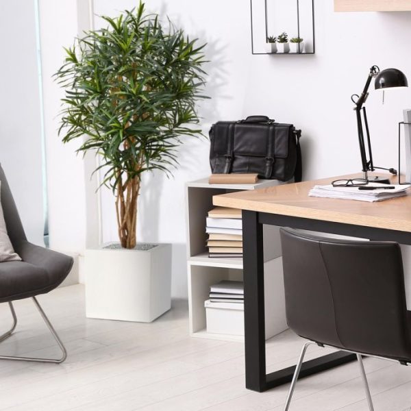 Draceana-Reflexa-Anita-145-cm-kunstboom-7 Draceana Reflexa Anita 145 cm kunstboom 7