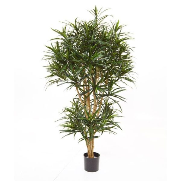 Draceana-Reflexa-Anita-160-cm-kunstboom-6 Draceana Reflexa Anita 160 cm kunstboom 6