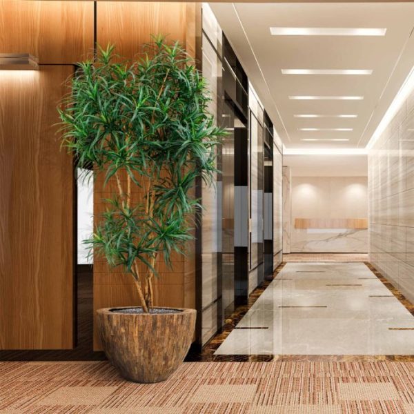 Draceana-Reflexa-XL-190-cm-groen-kunstboom-5 Draceana Reflexa XL 190 cm groen kunstboom 5