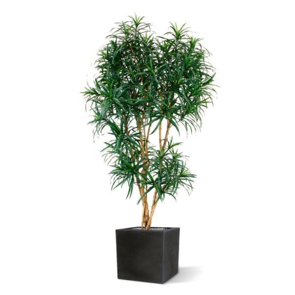 Draceana-Reflexa-XL-190-cm-groen-kunstboom-8 Draceana Reflexa XL 190 cm groen kunstboom 8
