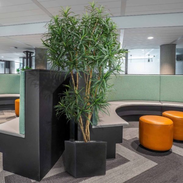 Draceana-Reflexa-XL-190-cm-groen-kunstboom-9 Draceana Reflexa XL 190 cm groen kunstboom 9