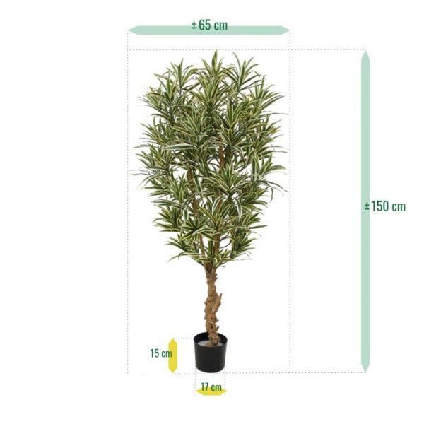 Draceana-Reflexa-bont-150-cm-kunstplant-4 Draceana Reflexa bont 150 cm kunstplant 4