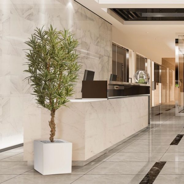 Draceana-Reflexa-bont-150-cm-kunstplant-8 Draceana Reflexa bont 150 cm kunstplant 8