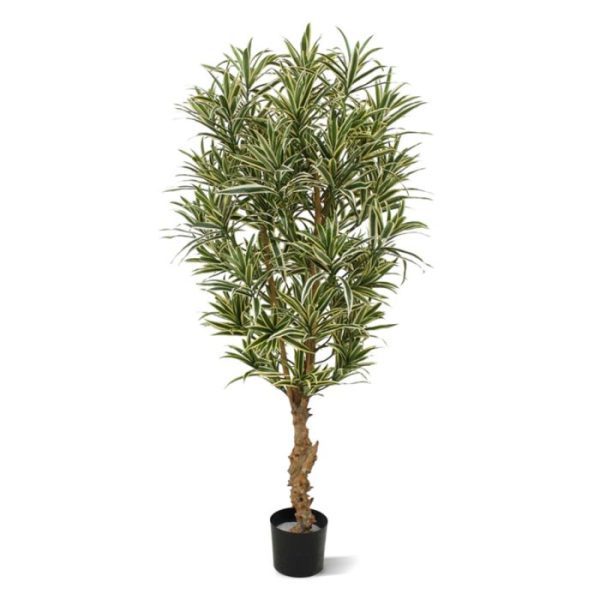 Draceana-Reflexa-bont-150-cm-kunstplant-9 Draceana Reflexa bont 150 cm kunstplant 9