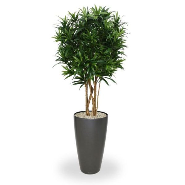 Draceana-Reflexa-groen-150-cm-kunstplant-3 Draceana Reflexa groen 150 cm kunstplant 3