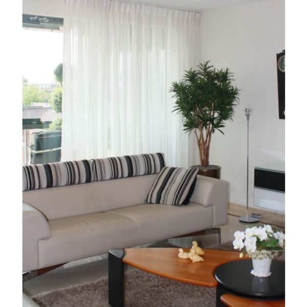 Draceana Reflexa groen 150 cm kunstplant Deze schitterende kopie van de Draceana Reflexa lijkt wel bijzonder veel op een echt exemplaar en zou je zo water geven! Extra aandacht is uitgegaan naar het natuurlijke karakter