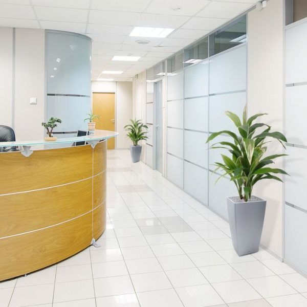 Draceana kunstplant 80 cm bont 7