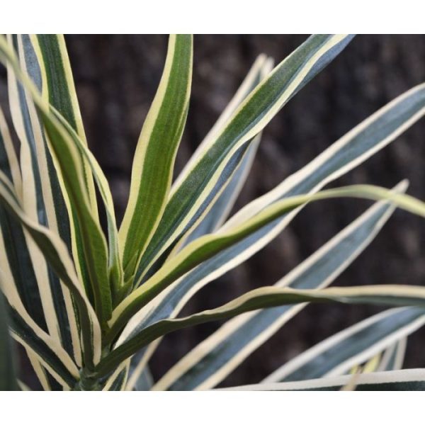 Deze bijzondere Dracaena Kunsttak dient als basis product voor vele mogelijkheden. Standaard wordt deze kunsttak los geleverd