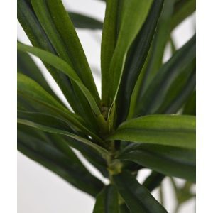 Deze bijzondere Dracaena Kunsttak dient als basis product voor vele mogelijkheden. Standaard wordt deze kunsttak los geleverd