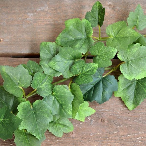 in combinatie met de kleine zijtakjes