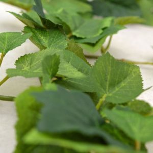 Deze schitterende Druivenblad kunst guirlande 180 cm groen ziet er bijzonder natuurgetrouw uit en is van de hoogste kwaliteit kunstplanten. De frisse bladprint van deze kunstzijden druivenguirlande