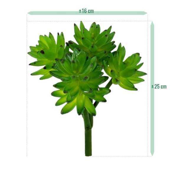 Echeveria-Vetplant-kunstboeket-4 inclusief steel