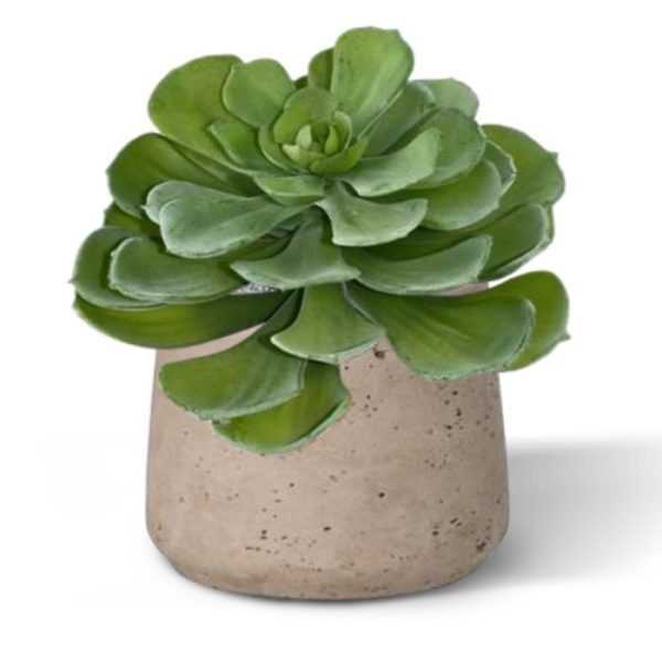 Groene kunstplanten of met meerdere op een rij