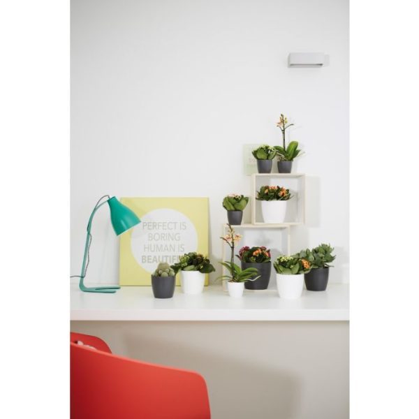 Plantenbakken combineer meerdere potten met bijvoorbeeld kleine boompjes of vergrijsde kamerplanten en voorzie het interieur van een eigentijdse touch!