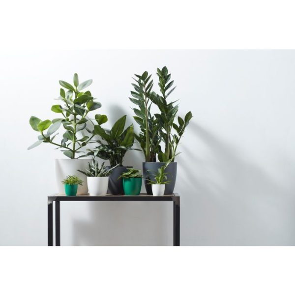 Elho Brussels ronde mini pot 95cm zwart