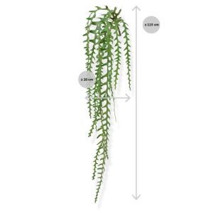 Met zijn unieke en natuurgetrouwe uiterlijk geeft deze Epiphyllum kunst hangplant beslist een exclusieve sfeer aan iedere ruimte binnenshuis. Geniet van de karakteristieke vorm van de frisgroene 'zaagbladeren' van deze volledig buigzame bladcactus en ga voor een eigen Urban Jungle. De Epiphyllum hanger bestaat uit vijf strengen met hun karakteristieke zaagbladeren