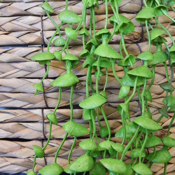 Erwten kunsthangplant 60 cm groen 4