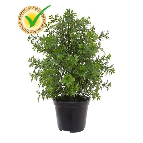 Kunstplanten sfeervolle kunstplant met een exotisch uiterlijk. De totale hoogte van de kunsteucalyptus UV is 30 cm en wordt met een standaard plastic binnenpot geleverd. Hiermee is de kunstig nagemaakte Eucalyptusstruik eenvoudig in een mooie sierpot te plaatsen.