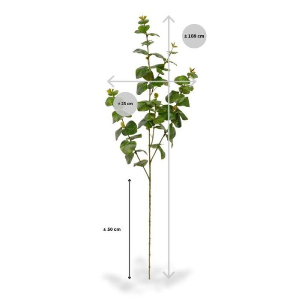 Eucalyptus kunsttak 100 cm Deze zijden Eucalyptus kunsttak 100 cm dient als basis product voor vele decoratie mogelijkheden en uitvoeringen. Standaard wordt deze kunsttak geleverd zonder pot