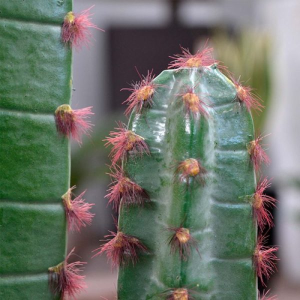 Euphorbia-kunst-Cactus-140-cm-3 Euphorbia kunst Cactus 140 cm 3
