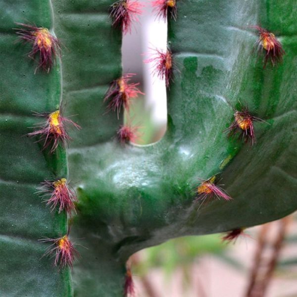 Euphorbia-kunst-Cactus-140-cm-4 Euphorbia kunst Cactus 140 cm 4