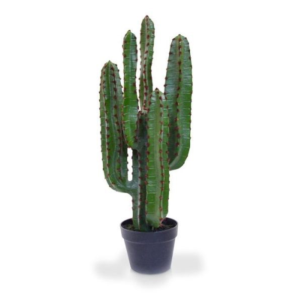 Euphorbia-kunst-Cactus-70-cm-in-pot-10 Euphorbia kunst Cactus 70 cm in pot 10
