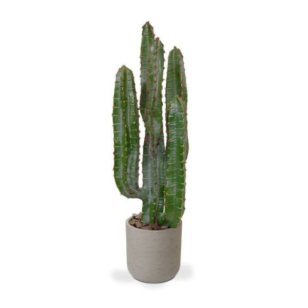 Euphorbia-kunst-Cactus-70-cm-in-pot-3 en de breedte is ongeveer 27 cm. De cactus wordt geleverd in een standaard binnenpot en is verkrijgbaar in de hoogtes van 70 en 140 cm. In kleine potten staan deze cactussen prachtig op een vensterbank