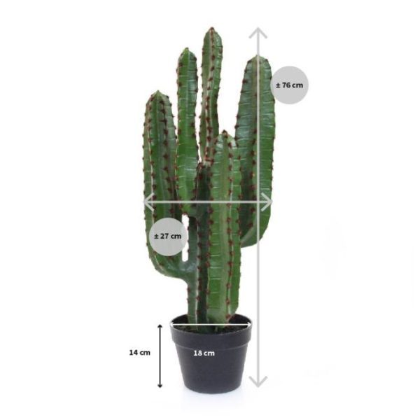 Euphorbia-kunst-Cactus-70-cm-in-pot-6 Euphorbia kunst Cactus 70 cm in pot 6