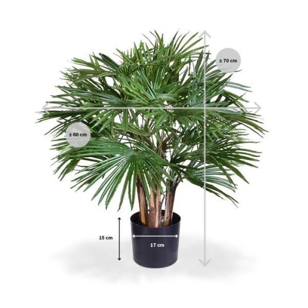 Fan kunstpalm deluxe 70 cm Zet deze prachtige en zeer luxe uitgevoerde kunst Fan Palm ergens neer en begin maar met dromen….. Of het nu is door de prachtige en op een waaier lijkende bladeren of de echte houten stammen die de kunstplant een stevige en levensechte basis geven. Wat een plaatje deze realistisch nagemaakte kunst waaierpalm die officieel luistert naar de naam Livistona rotundifolia.