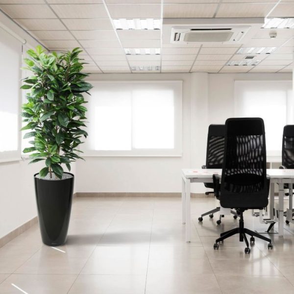 Ficus-Cyathistipula-160-cm-Deluxe-kunstplant-10 Ficus Cyathistipula 160 cm Deluxe kunstplant 10