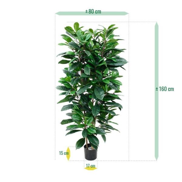 Ficus-Cyathistipula-160-cm-Deluxe-kunstplant-3 Ficus Cyathistipula 160 cm Deluxe kunstplant 3