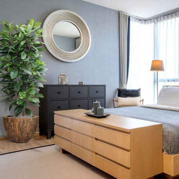 Ficus-Cyathistipula-160-cm-Deluxe-kunstplant-4 Ficus Cyathistipula 160 cm Deluxe kunstplant 4