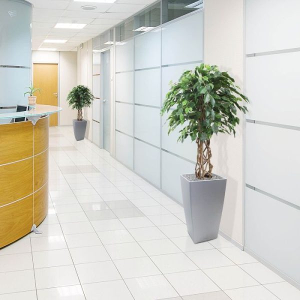 Ficus-Exotica-125-cm-kunst-bol-op-stam-5 Ficus Exotica 125 cm kunst bol op stam 5