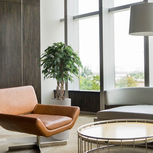 Ficus-Exotica-125-cm-kunst-bol-op-stam-6 Ficus Exotica 125 cm kunst bol op stam 6