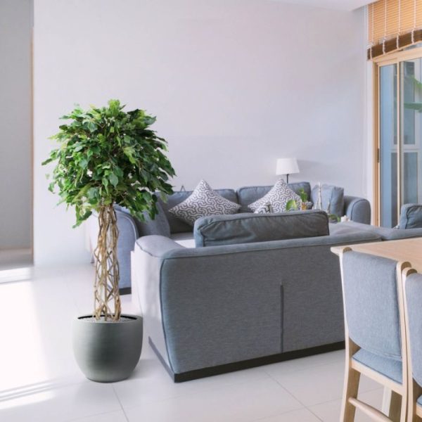 Ficus Exotica 150 cm kunst bol op stam 4