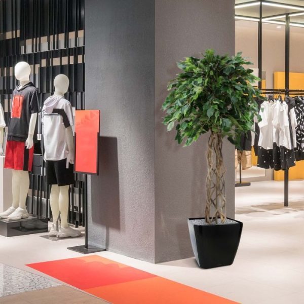 Ficus Exotica 150 cm kunst bol op stam 5