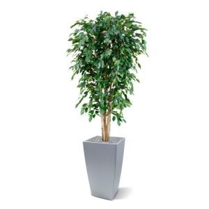 Uiterst natuurgetrouw nagemaakte kunstzijden Ficus