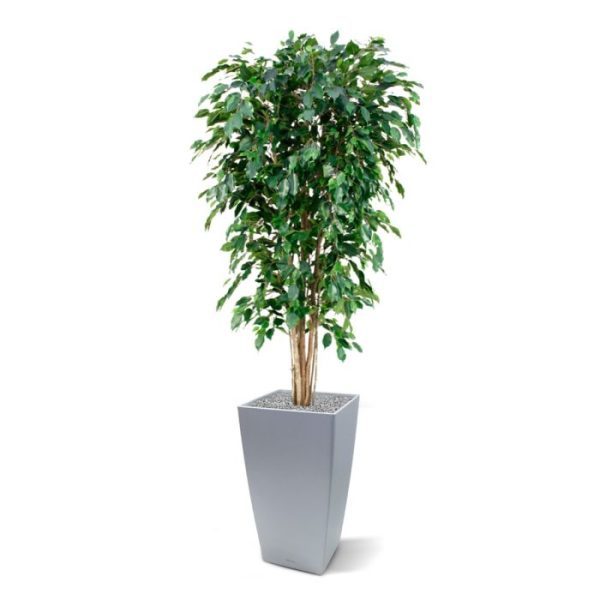 Ficus Exotica Deluxe kunstboom 180 cm groen Uiterst natuurgetrouw nagemaakte kunstzijden Ficus