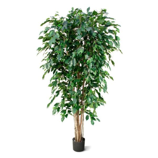 Ficus-Exotica-Deluxe-kunstboom-180-cm-groen-7 Ficus Exotica Deluxe kunstboom 180 cm groen 7