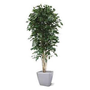 Uiterst natuurgetrouw nagemaakte kunstzijden Ficus